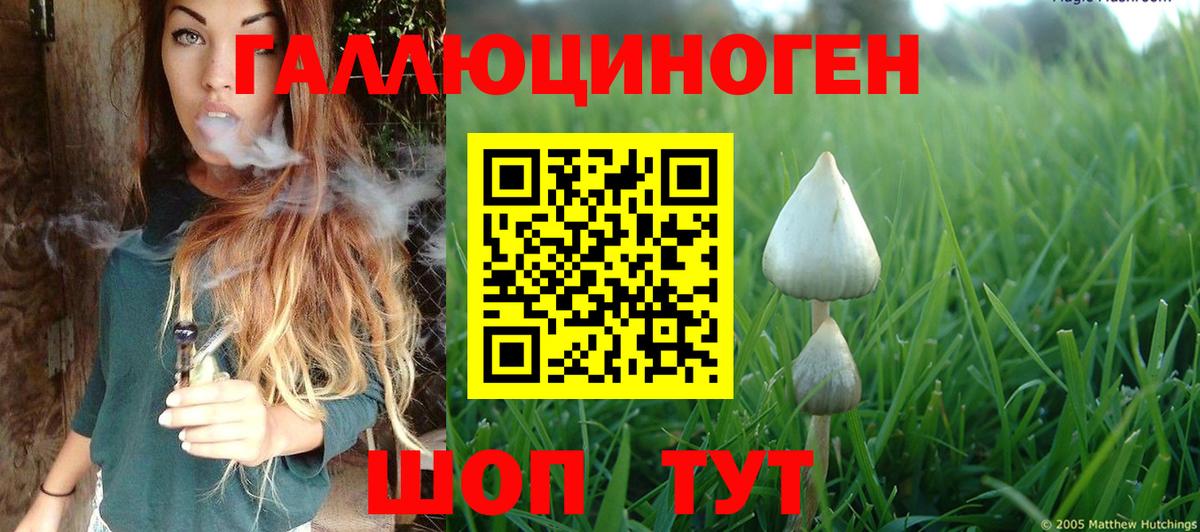 Псилоцибиновые грибы прущие грибы  Галлюциногенные грибы GOLDEN TEACHER  магазин    Фурманов  Вход с VPN 